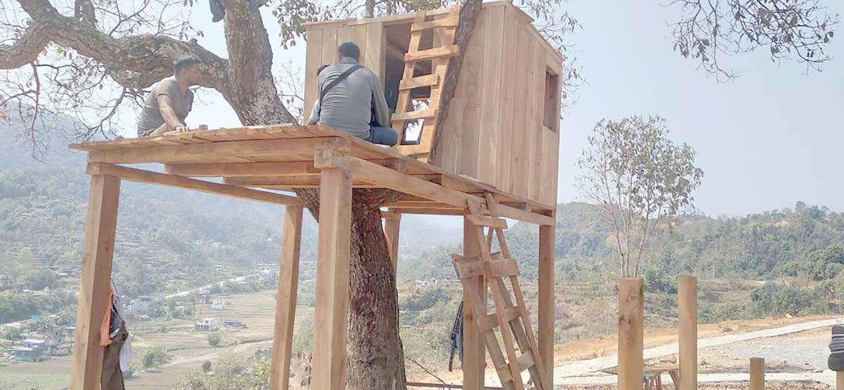 रूखमाथि 'घर'बन्दै‍‍‍